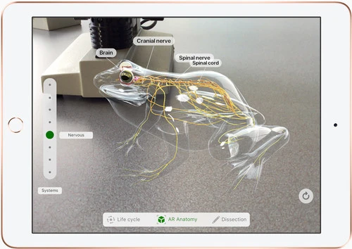 Apple IPad (2022) 10.9 Inch 256GB Wifi Blauw + Apple Pencil 1 (2022) 17 Apple IPad (2022) 10.9 Inch 256GB Wifi Blauw + Apple Pencil 1 (2022) - Afbeelding 15