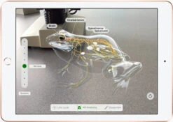 Apple IPad (2021) 10.2 Inch 256GB Wifi Space Gray + Apple Pencil (1e Generatie) -Tech Winkel 1185213 7