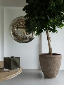 Mu-so QB 2nd Gen -Tech Winkel 1288833