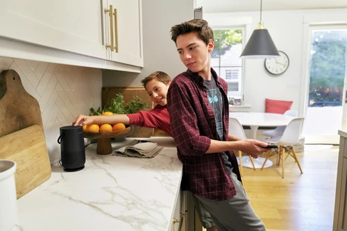 Bose Portable Home Speaker Zwart 14 Bose Portable Home Speaker Zwart - Afbeelding 12