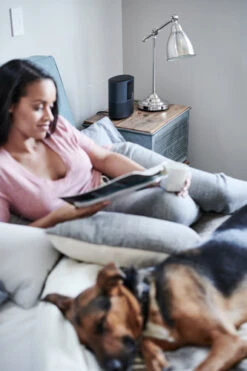 Bose Home Speaker 500 Duo Pack Zwart -Tech Winkel 1447734 1