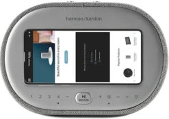 Harman Kardon Citation OASIS Grijs -Tech Winkel 1460982