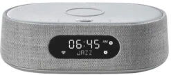 Harman Kardon Citation OASIS Grijs