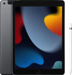Apple IPad (2021) 10.2 Inch 256GB Wifi + 4G Space Gray + Apple Pencil (1e Generatie)