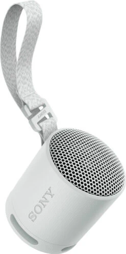 Sony SRS-XB100 Grijs -Tech Winkel 1957993 1